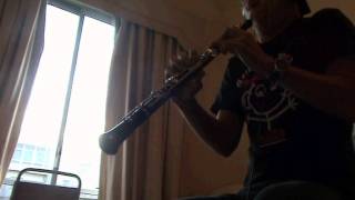 The Ocean Music ( oboe cover ) chill out