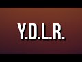 Tory Lanez - Y.D.L.R. (lyrics)