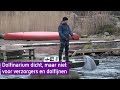 Dolfinarium dicht, maar niet voor verzorgers en dolfijnen