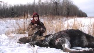 preview picture of video 'Bluesky Outfitting Alberta farmland moose hunt'