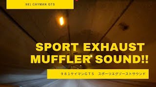 ９８１ケイマンＧＴＳ　スポーツエグゾーストオプション