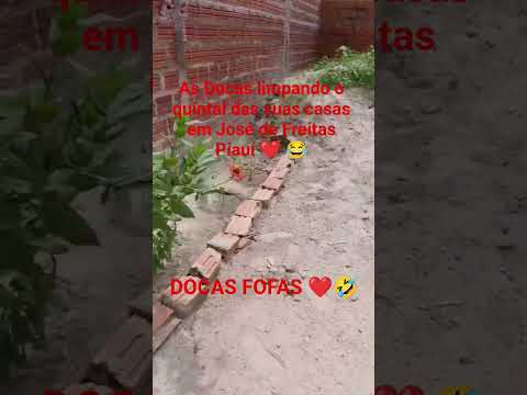 #Shorts As Docas limpando o quintal de suas casas em José de Freitas Piauí ❤️