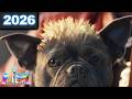 All The Official NFL Super Bowl Commercials 2026 Part 2 Best And Funny Ads