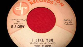 I Like You by The Flock on 1966 Destination Records.