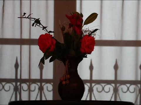 CASTEL TRANSILVANIA BAIA MARE, ROMANIA