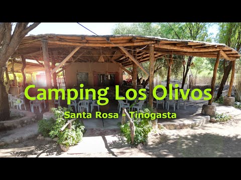 Camping Los Olivos - Santa Rosa - Tinogasta - Catamarca
