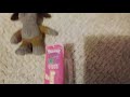 Barney S Campfire Sing Along 1992 VHS Review