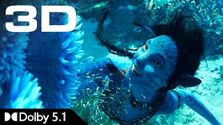 IMAX 3D Teaser • Avatar 2: The Way of Water • 