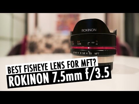 Video thumbnail for Video Review 3