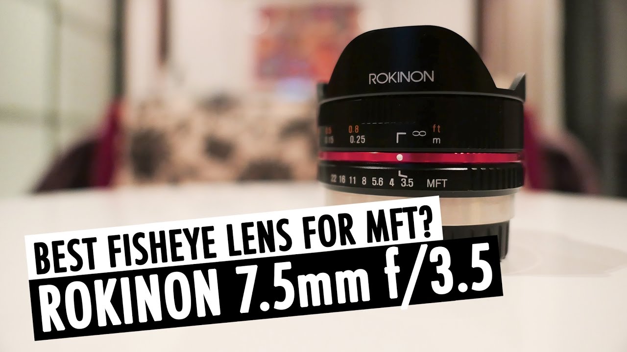 Video thumbnail for Video Review 1