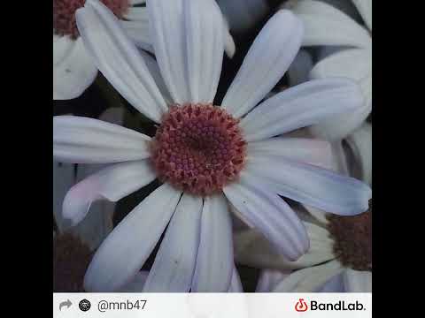 manie sportive by Mr.Nøbødy