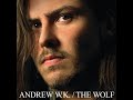 Andrew W.K. - Long Live the Party