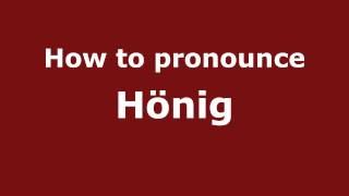 How to pronounce Hönig