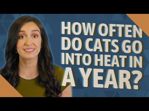 How often do cats go into heat in a year?