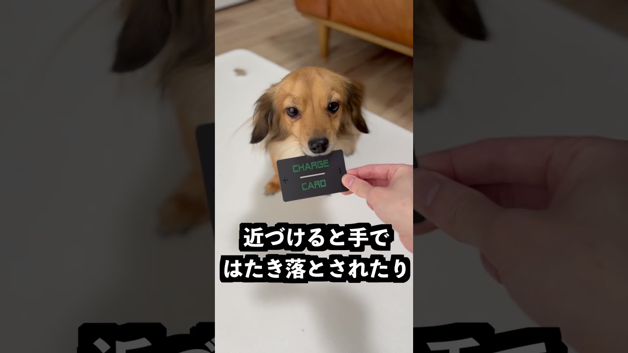 一瞬で充電を満タンにするカードがすごすぎた！