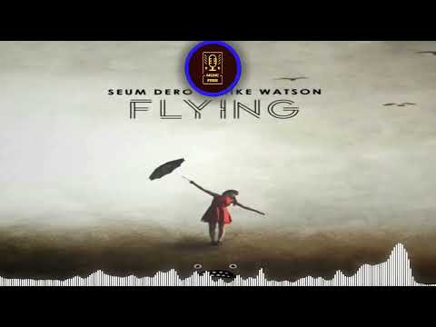 Seum Dero & Mike Watson – Flying Bass Rebels   ( No Copyright )