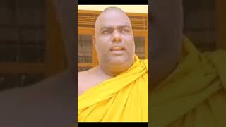 Download lagu kotuwe hamuduruwo vs Rajanganaye hamuduruwo 😮 #shorts mp3 Download lagu kotuwe hamuduruwo vs Rajanganaye hamuduruwo 😮 #shorts mp3
