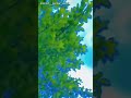 Koi To Saathi Chahiye ️ New Post Video Hindi Song Purna Song