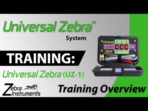 Universal Zebra Training: Overview