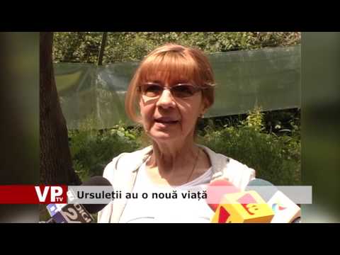 Ursuleții au o nouă viață