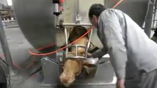 Dangerous Qurbani Video In Out of Country OMG! Moments video