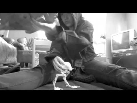 Mein Leben als Imperator - Fritzi Ernst (Schnipo Schranke)