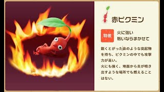 ばつのピクミンx1【実況】