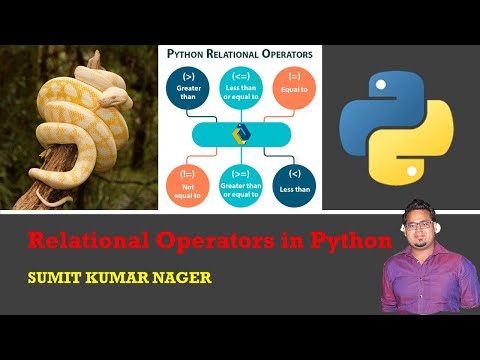 Relational Operator In Python Relational Operators Practical Example Python For Beginner