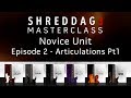 Video 3: Shreddage 3 Masterclass Episode 2: Melodies and Lead Articulations
