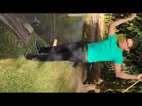 pescando 🐟 Tilapia no pesqueiro Guilherme perobal Paraná