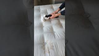 Album cover: Steam cleaning of a mattress