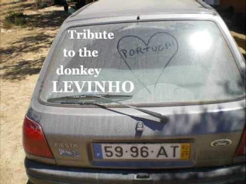 Tribute to the donkey Levinho