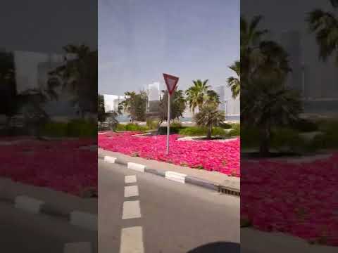 شواطي ء  نظيفة