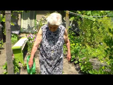 Nagymama, Nagyiratos (Arad) 2014 - Bunica, Iratoș (Arad) 2014