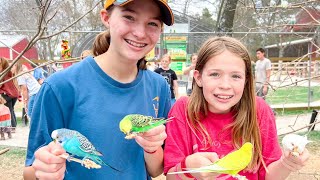 Tic tac toy family at a farm- 10min video gameplay video by Sarabear, 10:22 duration