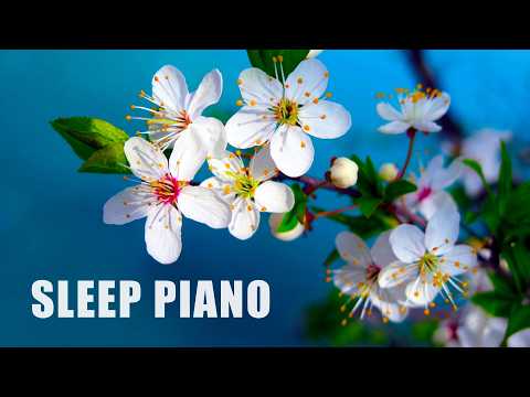 10 Hours of Relaxing Music: Piano Music, Positive Music, Study Music (Madison)