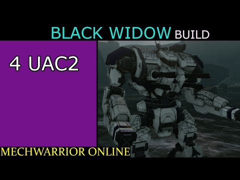 MWO Build - Warhammer Black Widow (4UAC2)