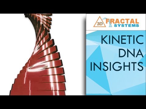 Kinetic DNA - Insights