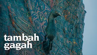 Download lagu KEPALA MERAK SUDAH TERPASANG MONUMEN REOG PONOROGO TAMBAH GAGAH mp3