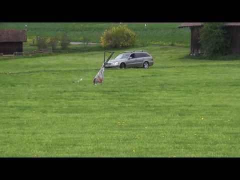 Ostercoursing Rifferswil 2017 Dishita Saphira