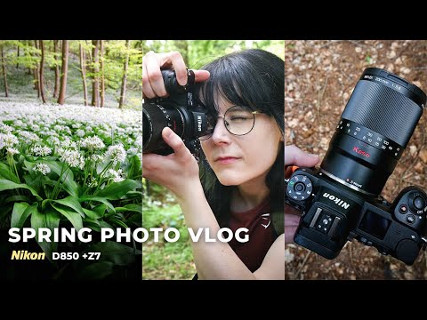 A Spring Photo Walk: With the Kase 200mm Reflex Lens