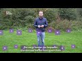 Dit doet stikstof met de natuur | RTV Utrecht