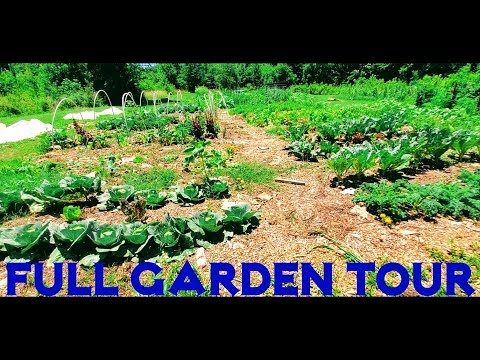 , title : 'How Many Different Gardens Can One Man Have? | Full Garden Tour'
