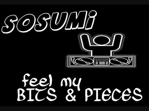 SOSUMI - FEEL MY BITS & PIECES