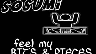 SOSUMI - FEEL MY BITS & PIECES