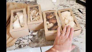 Shipping fresh mushrooms with Foraged.market: test run shipping fresh gourmet mushrooms