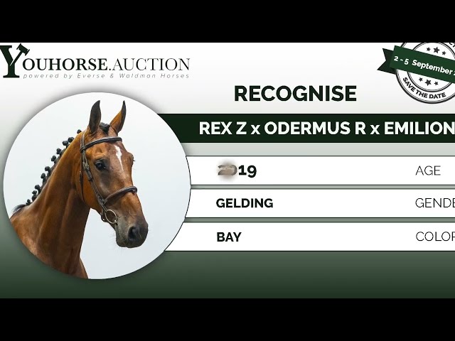 Recognise @ show