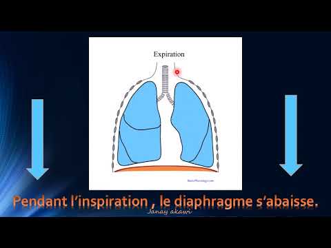 Tout savoir sur l'inspiration-EB3-Janay Akawi