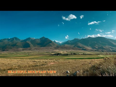 Relaxing Meadow with Ambient Nature Sounds, Wildflowers, and Mountain View