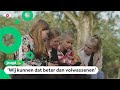 Kinderen in Apeldoorn beoordelen chillplekken in de buurt